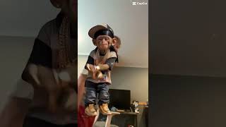 Dance monkey
