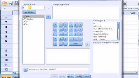 SPSS for newbies: Creating interactive dummy variables
