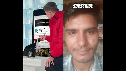 #penguin #automobile #challenge #duet #mrbeast #subscribe #new #reaction #subscribers #mrbeastshorts