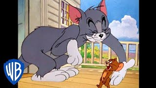 Tom    and    Jerry.  Catoon.   Part 3 #tomandjerry #pubgmobile