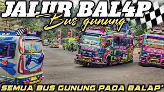 HUNTING BUS GUNUNG||JALUR WAJIB BENAM GASS|| SEMUA BUS GUNUNG PADA BALAP-BALAPAN