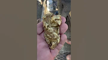 Huge Gold Nugget Found In B C 