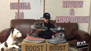 Beluga 2 0 Review & Comparison