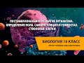 Постэмбриональное развитие организма. Определение пола. Саморегуляция и гомеостаз. Стволовые клетки