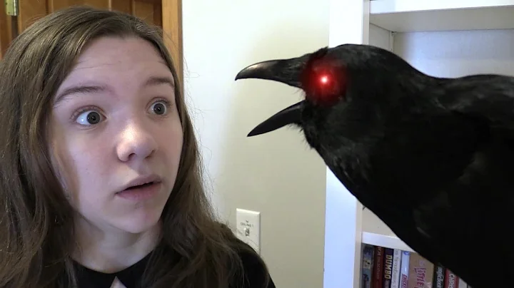 HAUNTED ZOMBIE RAVEN.