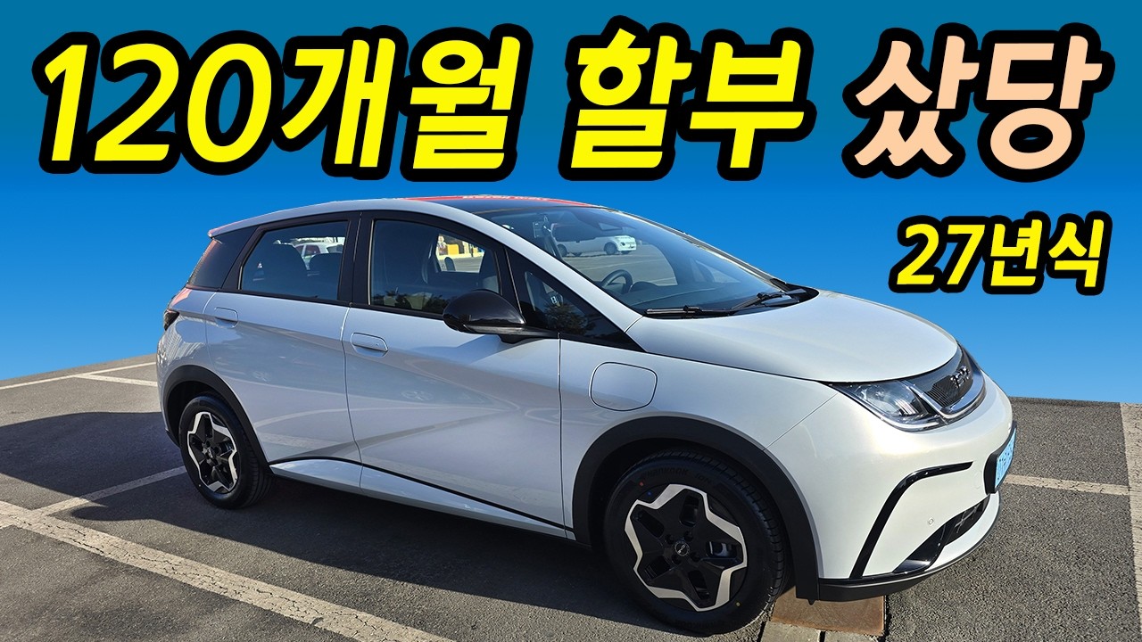 보조금 대박빋고 돌핀구입! 직장인 풀할부! 기본 사은품과 세제혜택 / BYD AS걱정되면 보세요!