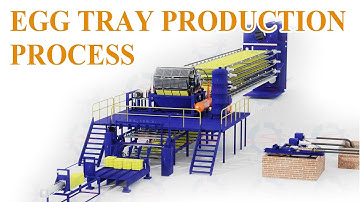 How to Make Egg Trays? Watch Our Advanced 3D Video of Egg Tray Making Machine in Action!