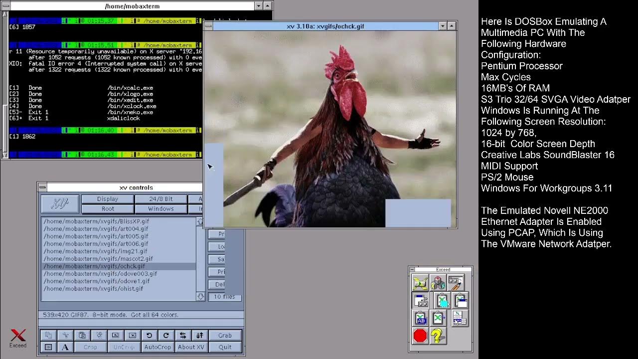 Hummingbird Exceed Server On Windows 3.1 (DOSBoxX) YouTube