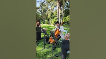 Thumbnail of River Flows In You (Yiruma) - Enchanted Strings - Moorpark Harp Trio #wedding #violin #harp #cello