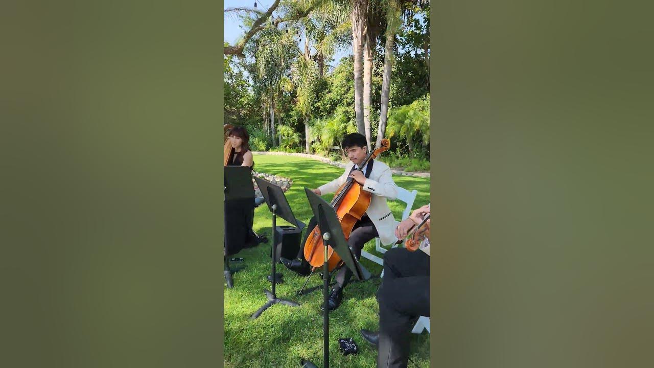 River Flows In You (Yiruma) - Enchanted Strings - Moorpark Harp Trio #wedding #violin #harp #cello