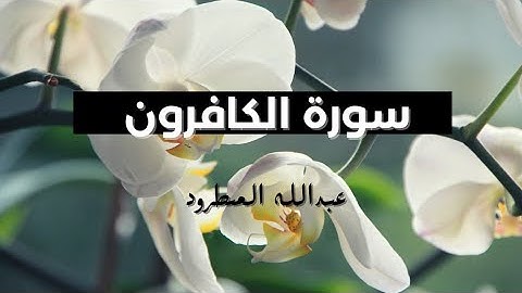 سورة الكافرون/ القاريء عبدالله المطرود
