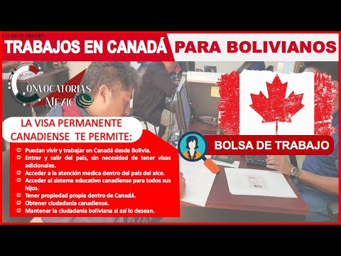 Cual Es La Tasa De Seguro De Empleo En Canada