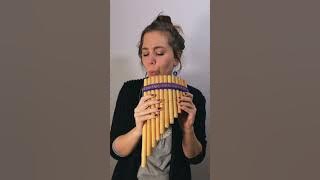 Siku Bamboo Pan Pipes - Sound Demo