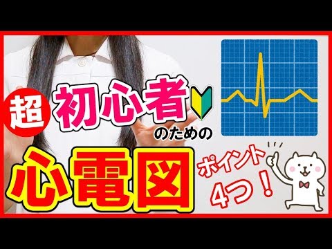 【心電図を勉強したい人🔰必見！】心電図を0から丁寧に解説！