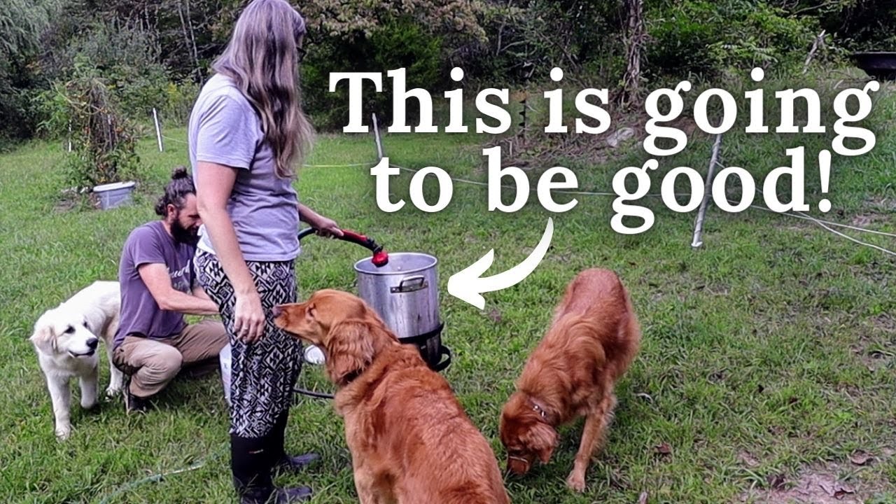 The bright side of homesteading