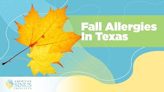 How to Deal with Fall Allergies in Texas?
