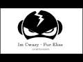 Im Cwazy - Fur Elise (DUBSTEP REMIX)