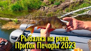 Рыбалка на реке, приток Печоры 2023. Ловля на поплавок и спининг, жерлицы пока молчат.
