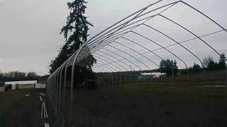 Greenhouse update