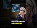 Shocking Similarity Between Human and Rat Brains - Vidita Vaidya | Raj Shamani #shorts