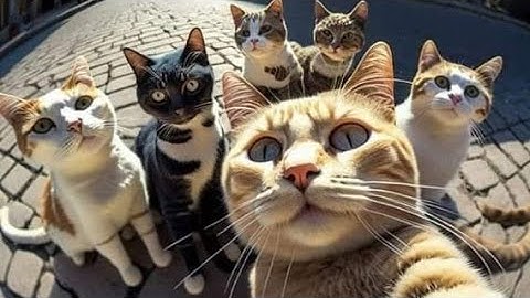 poco x4 pro 5g 👍slow motion video 😇