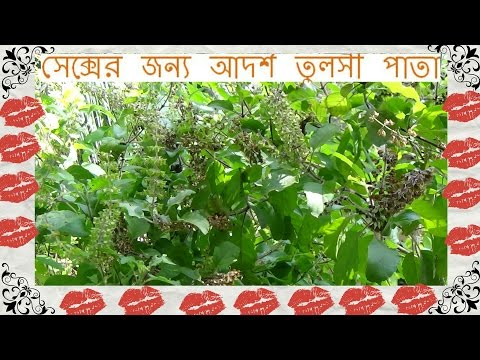 ভিডিও: স্প্যাথিফিলাম রোগ: কীভাবে তাদের মোকাবেলা করতে হয় এবং কীভাবে ফুলের চিকিত্সা করা যায়? যদি 