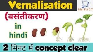 Vernalisation in plants : Plant growth and development . बसंतीकरण vernalisationin hindi Biology