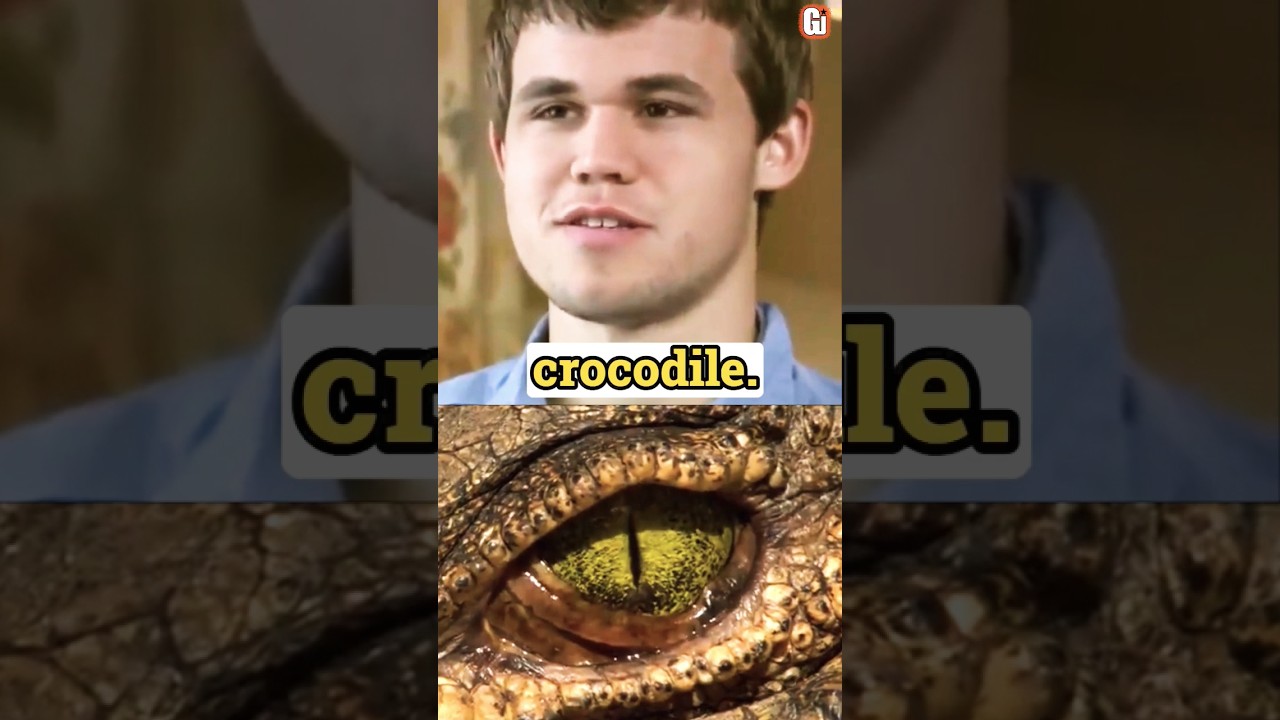 Carlsen, um crocodilo com chip, Esportes