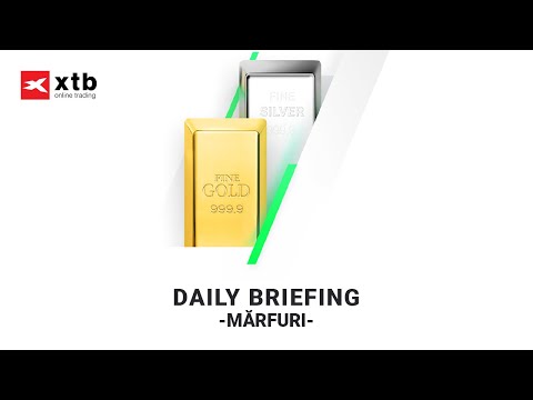 Mărfuri - Segment Daily Briefing 29.01.2021 | XTB România