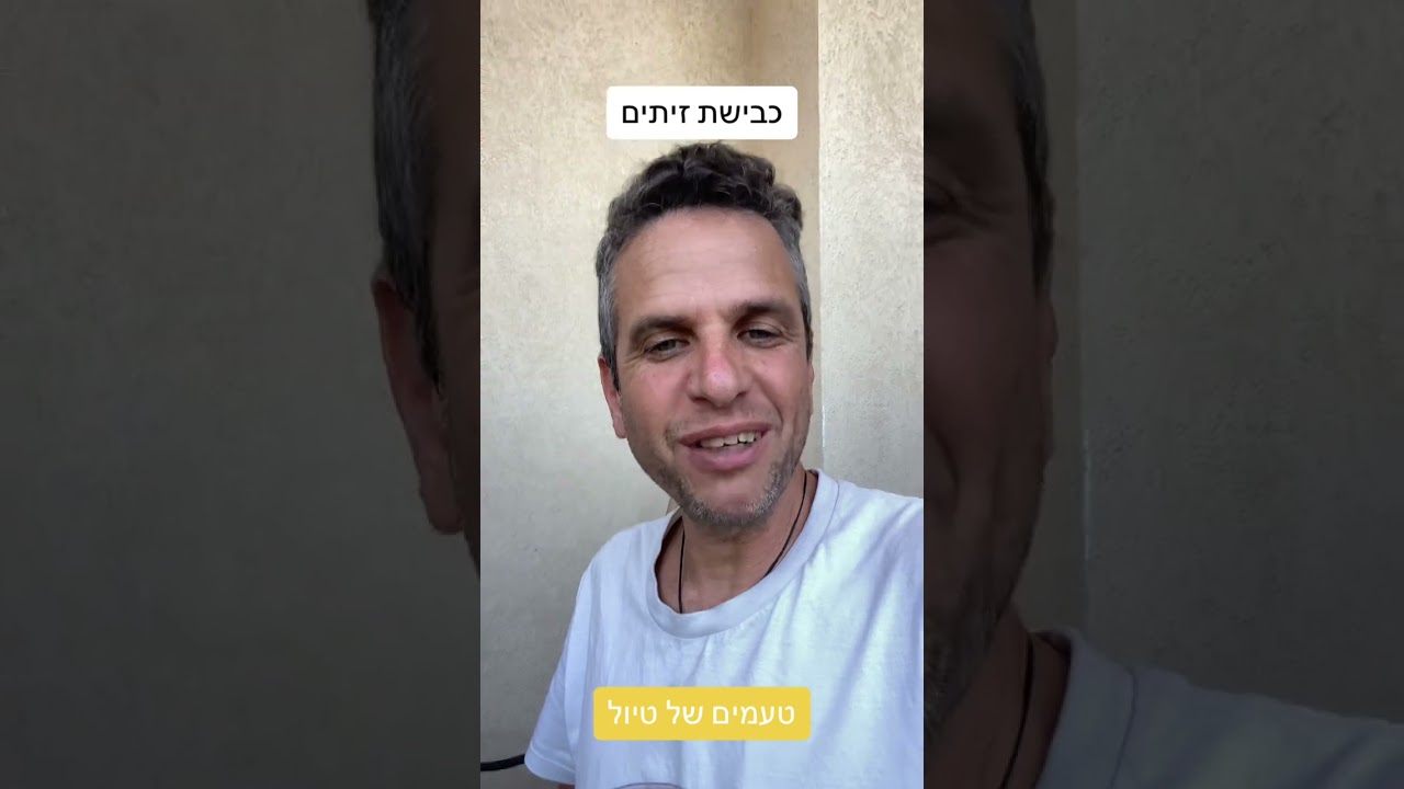 זיתים כבושים