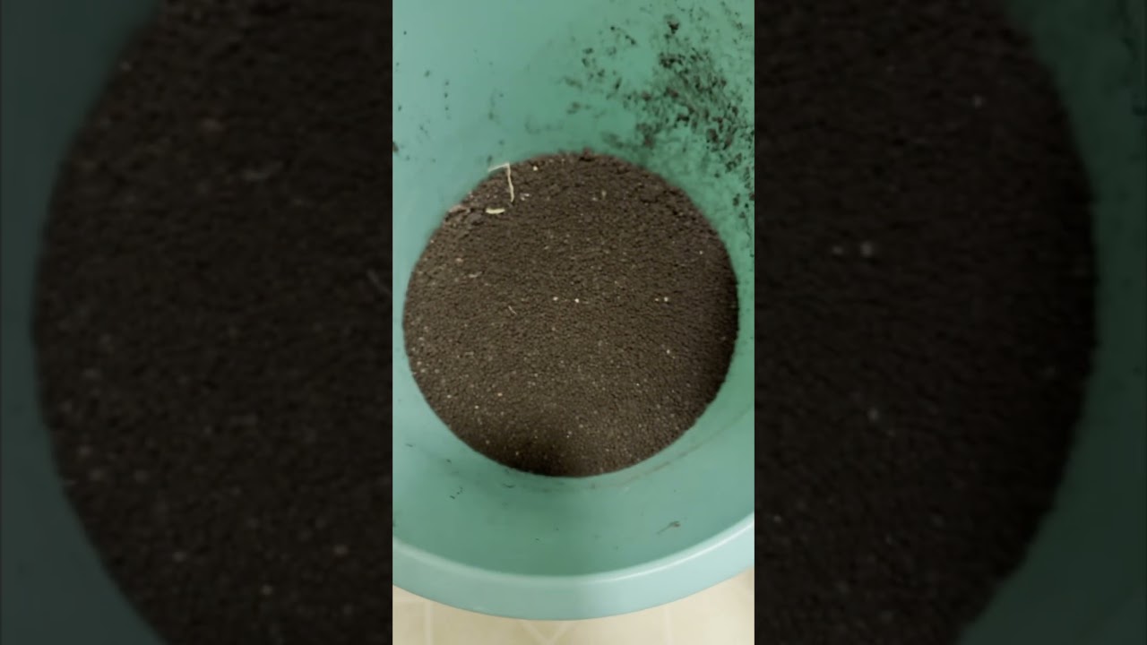 How to keep aquasoil from floating up into your sand in an aquarium