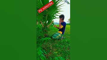 #tiktok 😭🤣🥰 #fypシ゚viral #duet #tiktokvideos #funny #reelsindia #viralreels #sad #voodoo #love