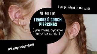 Famous ❁ TRAGUS & CONCH Piercings // horror stories, healing, pain, $$ | BL73 Net Worth