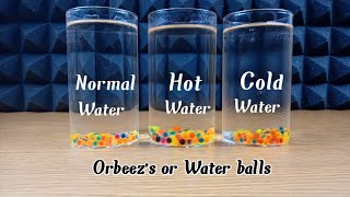 Water balls in hot,cold and normal water which will grow faster? screenshot 5