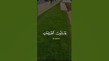 ما تيسر من الذكر الحكيم تلاوة خاشعة مؤثرة مبكية