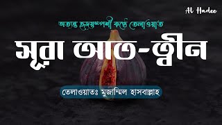 সূরা আত ত্বীন । Surah At Tin । سُوۡرَةُ التِّین  | Muzammil Hasballah | Al Hadee