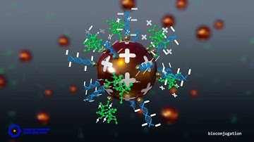 gold nanoparticle conjugation with charged peptide and DNA ligands - bivalent bioconjugate