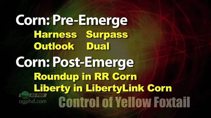 Weed of the Week #735-Yellow Foxtail (Air Date 5/6/12)