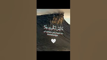من سورة النور القارئ أحمد خضر 🤍