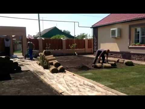 Рулонный газон.
