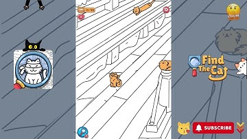 Find The Cat - Spot It! - Level 6 - Gameplay walkthrough