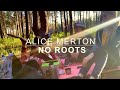 ALICE MERTON - NO ROOTS cover guitar acoustic