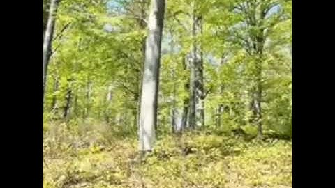 الراحة النفسية في دقيقة|| اللهم أجل القرآن الكريم ربيع قلوبنا ||