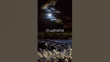 ﴿ الله لا إله إلا هو الحي القيوم ﴾ تلاوة تهز القلوب للقارئ عبد الرحمن مسعد 🔥💖 #القرآن #تلاوة_خاشعة