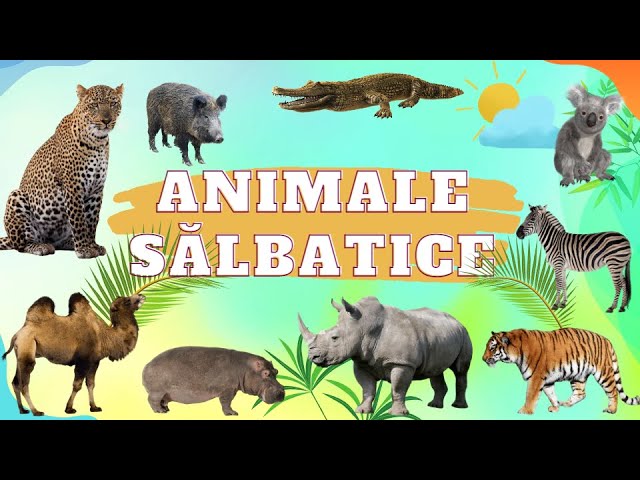 Invata Animalele Salbatice - JOC cu animale class=