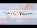 Cherry Blossom Flowers - Alcohol ink art painting