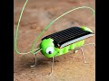 Solar Insects , 20 different Solar kits for K-12 Stem Learning