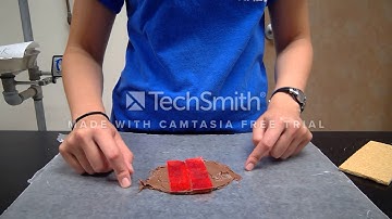 Graham Cracker Plate Techtonics Lab Demo