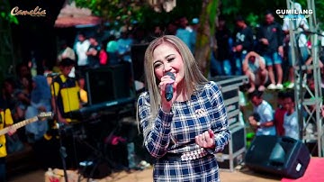 CAMELIA PELAN TAPI PASI - BENANG BIRU EVA AQUILA - BP.SUNARTO SOUND TUBANAN DUREN