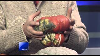 Gardening Tips: Winter Squash